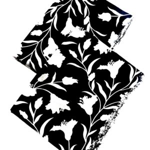 PRINTED DORIYA LAWN 2 PC